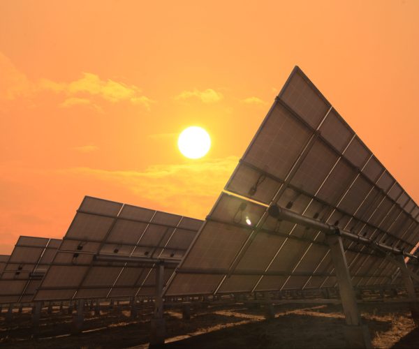 Solar,Panels,Face,Sunlight,With,Sky,Warm